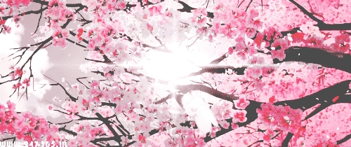 http://dl.247-365.ir/pic/gif/gol/flowers_5/Flowers_5_15.jpg