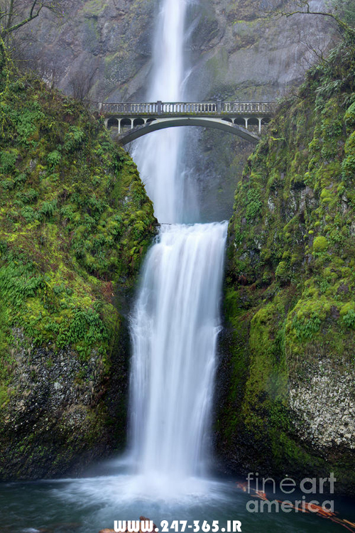 http://dl.247-365.ir/pic/gif/waterfall_in_oregon/Waterfall_In_Oregon.jpg
